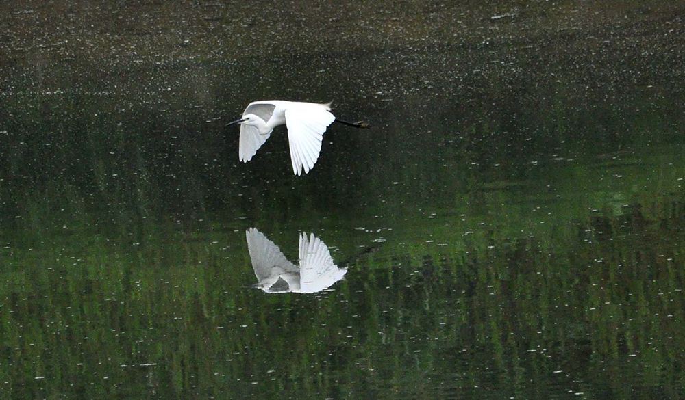 DSC_5737.JPG