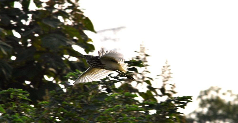 DSC_5664.JPG