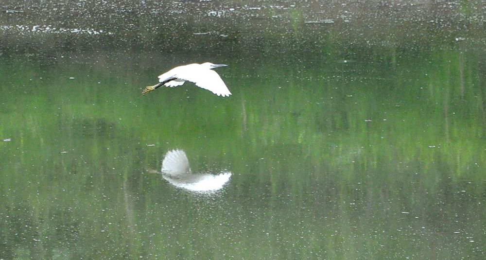 DSC_5704.JPG