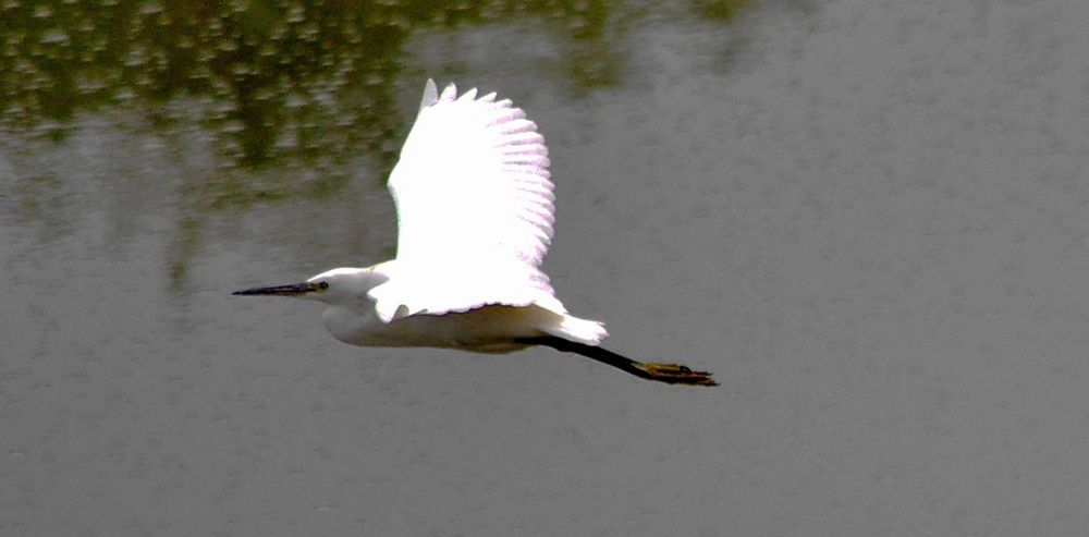 DSC_5720.JPG