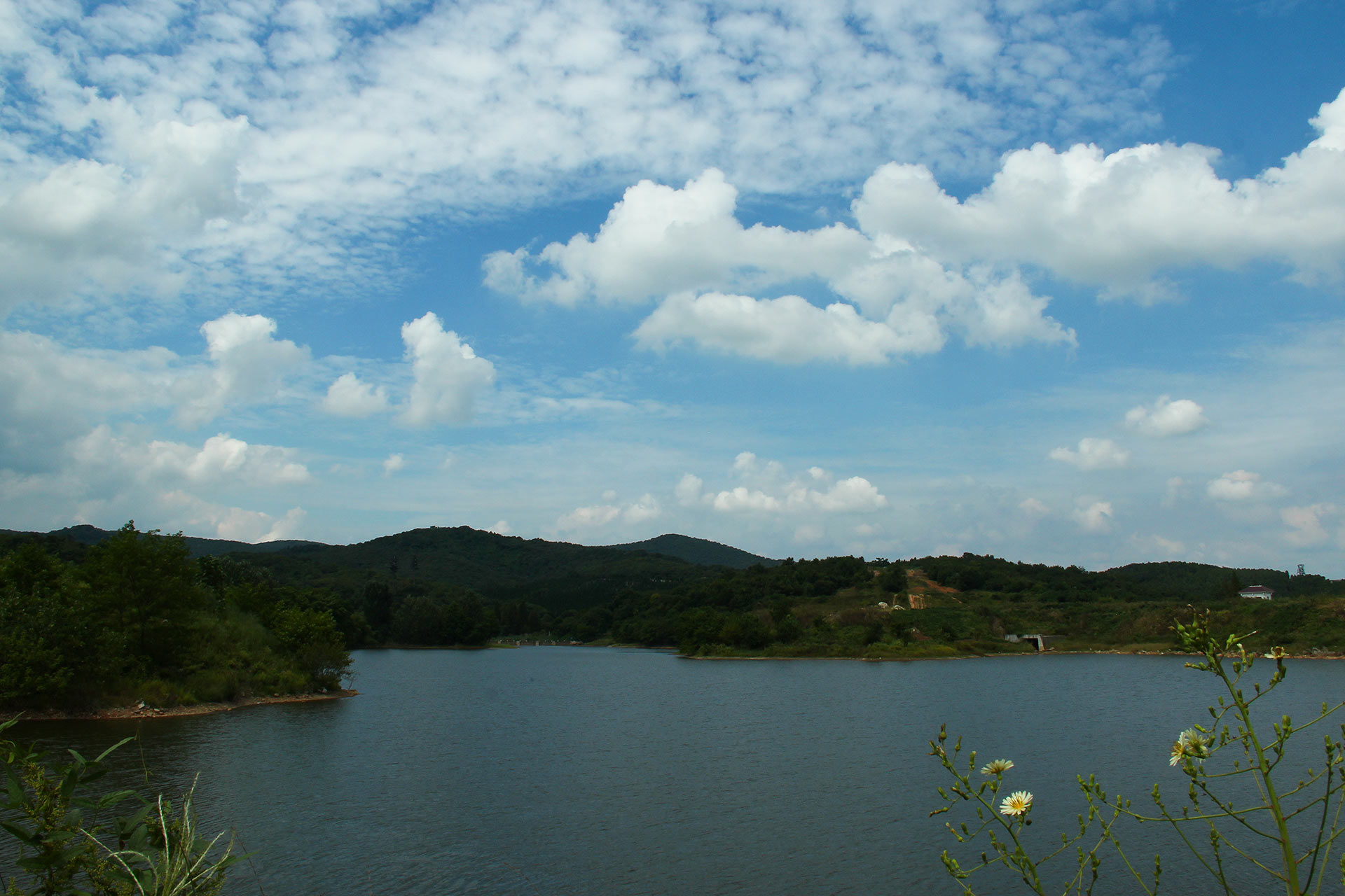 IMG_48761.jpg