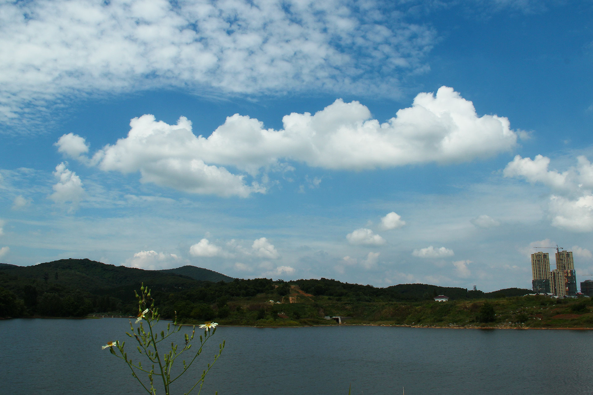 IMG_48811.jpg