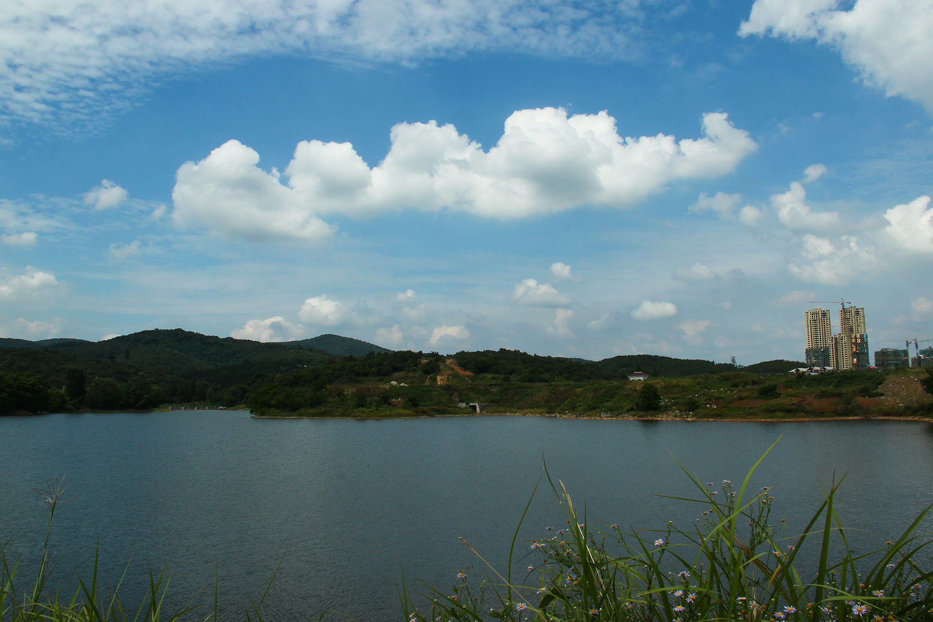 IMG_48861.jpg