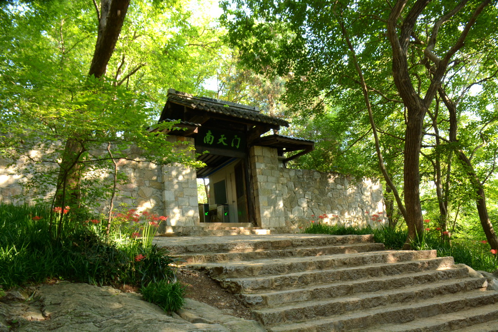 DSC_8143.JPG