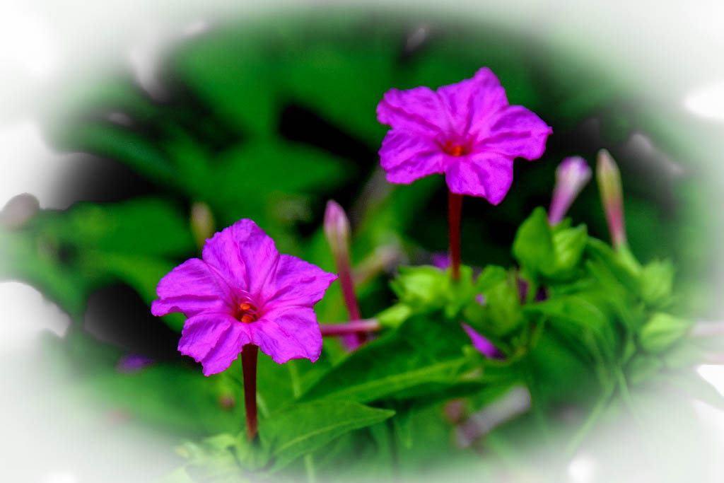 DSC_8178.jpg