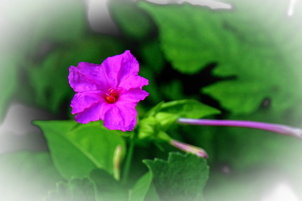 DSC_8183.jpg