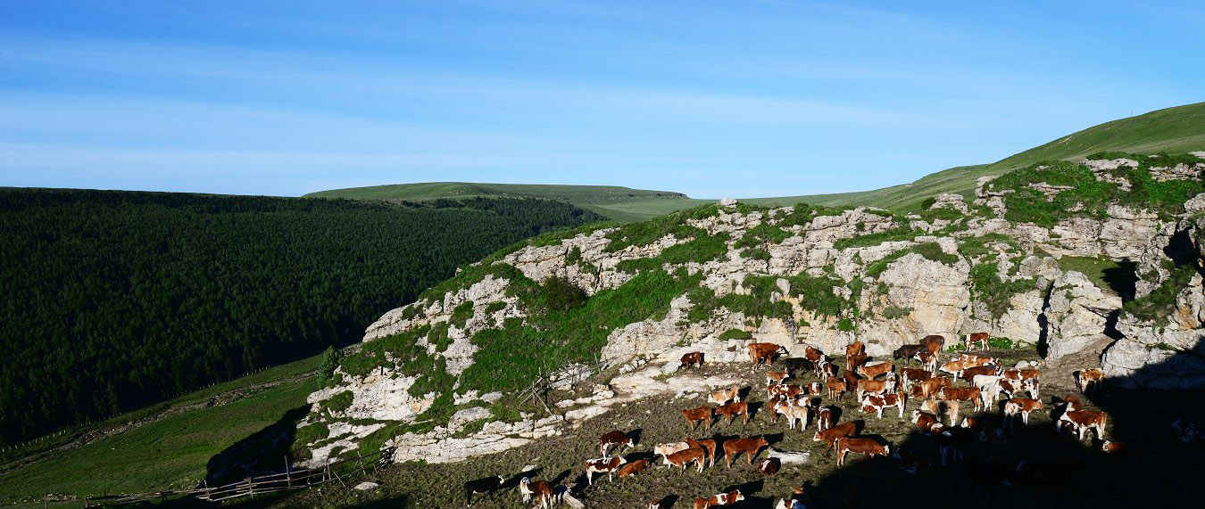 DSC_2191.JPG