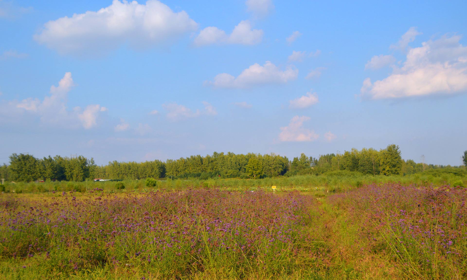 DSC_0128_副本.jpg