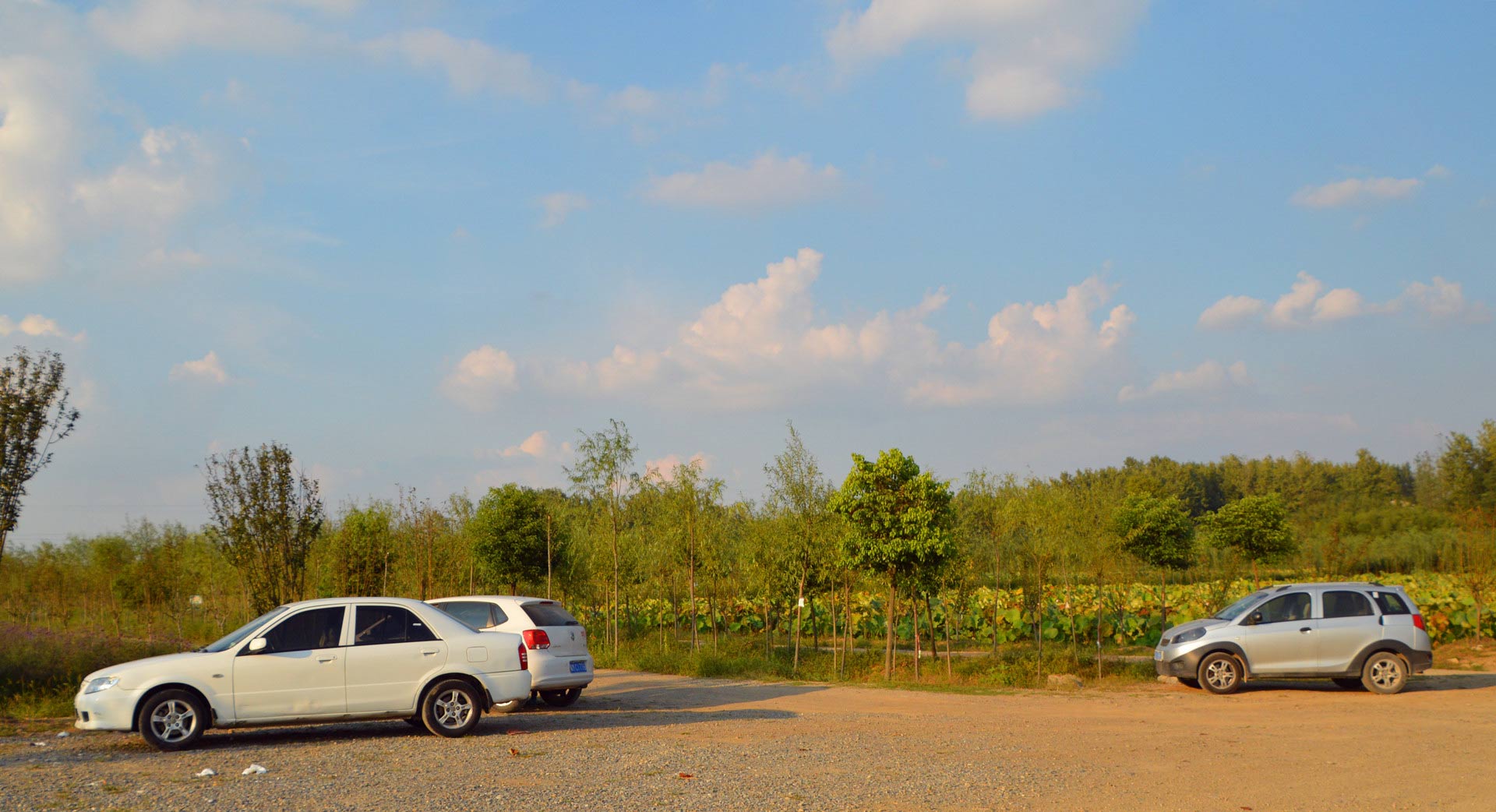 DSC_0135_副本.jpg