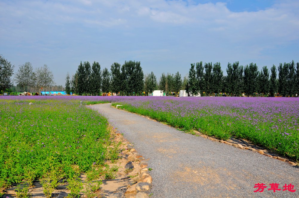 DSC_0334.jpg