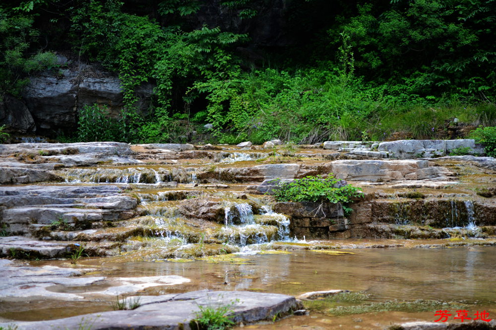 DSC_0966.jpg