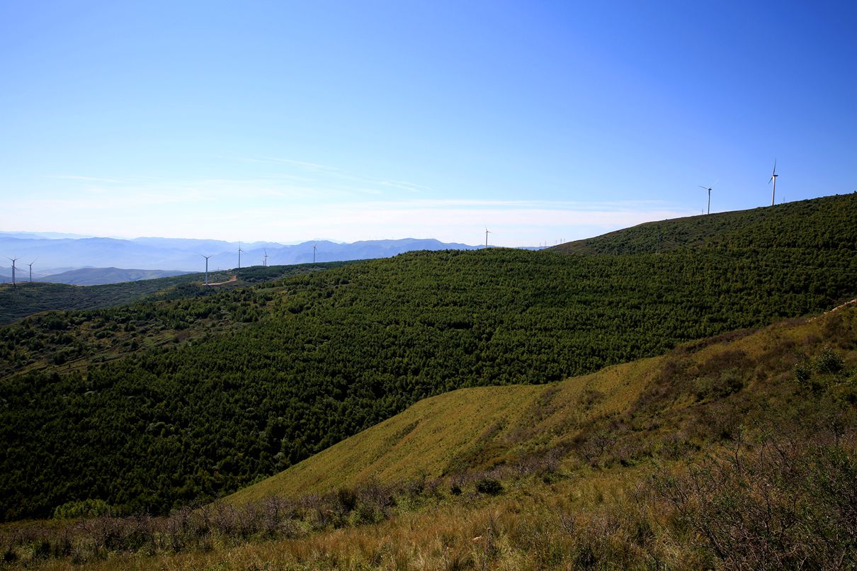 EY5A0080.JPG