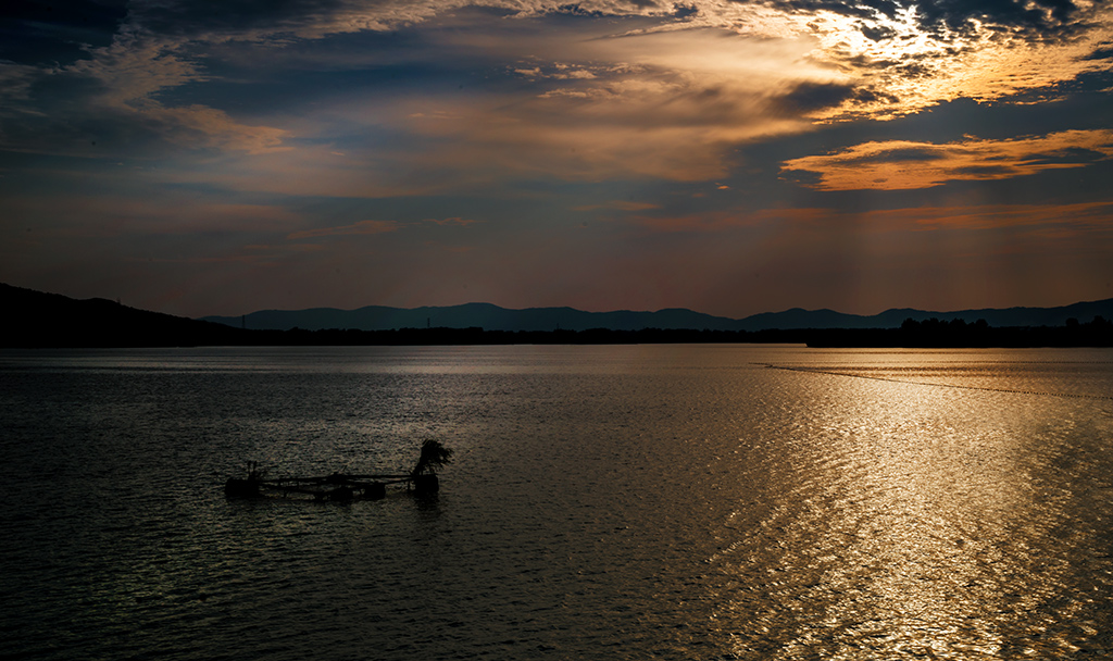 DSC_0429--.jpg