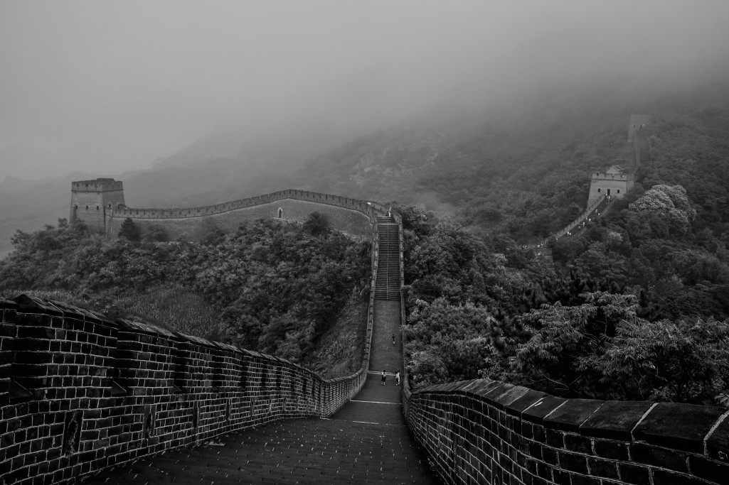 _DSC1107--2_conew1.jpg