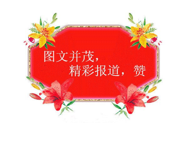 精彩报道图文并茂赞.jpg