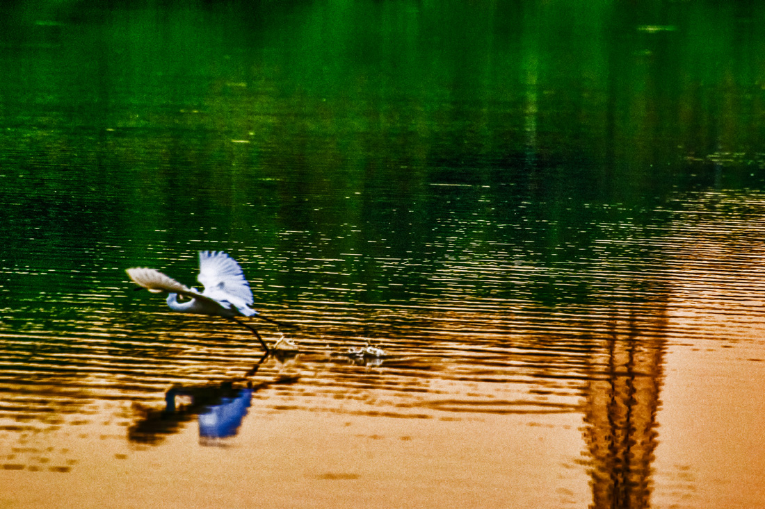 _DSC0103.jpg
