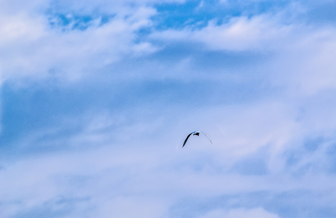 _DSC0143.jpg