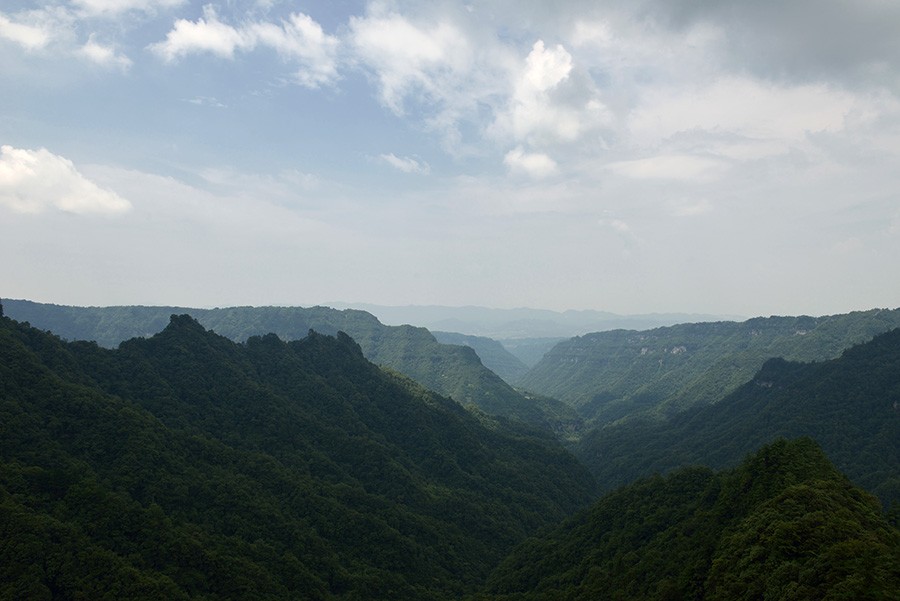 DSC_4753s.jpg