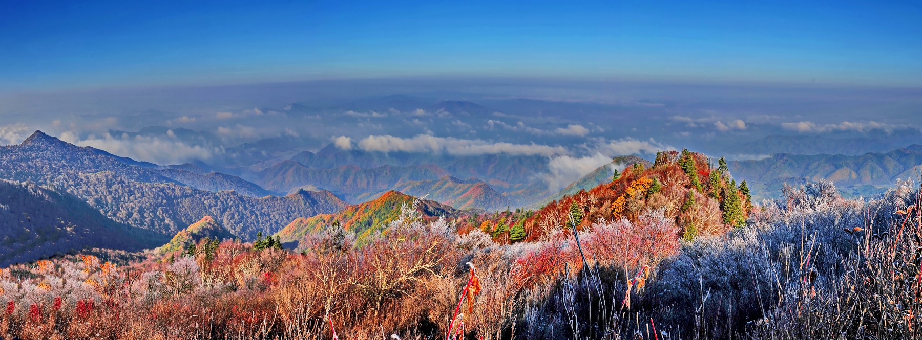 十月岗山_副本.jpg