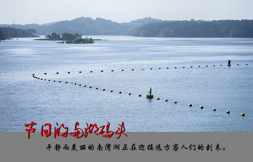 5 DSC08553副本0.jpg