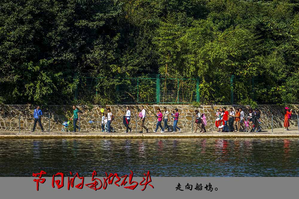11 DSC08641副本0.jpg