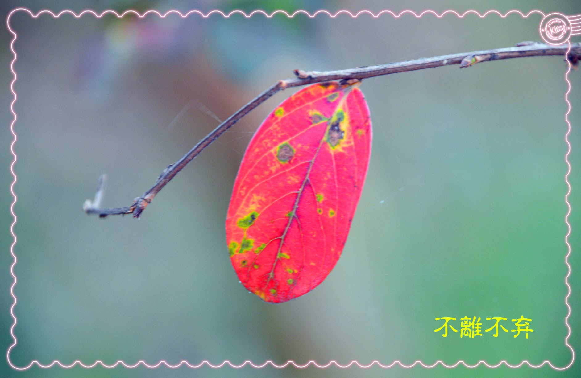 DSC_0459_副本_副本.jpg