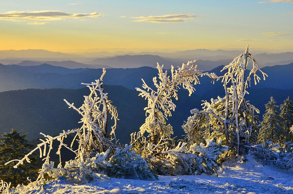 _DSC7541x.jpg