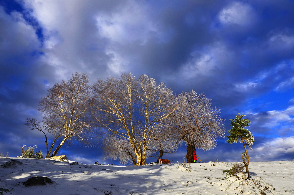 _DSC7567x.jpg