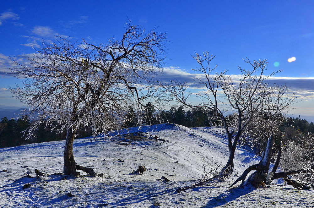 _DSC7592x.jpg