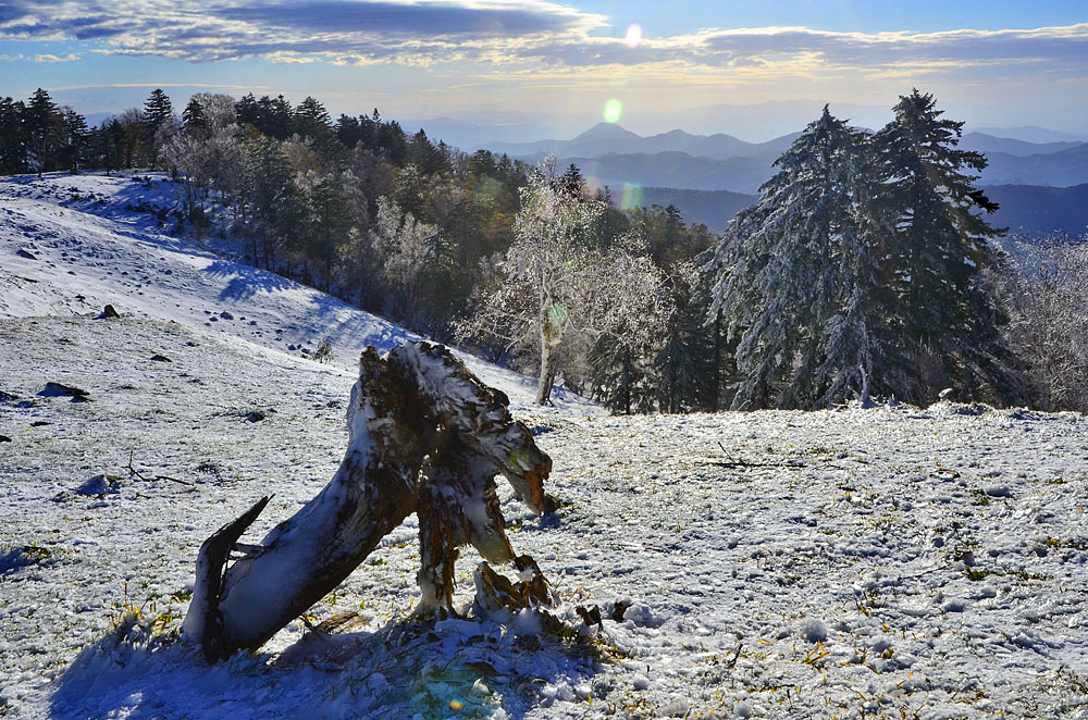 _DSC7595x.jpg
