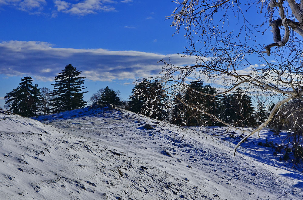 _DSC7602x.jpg