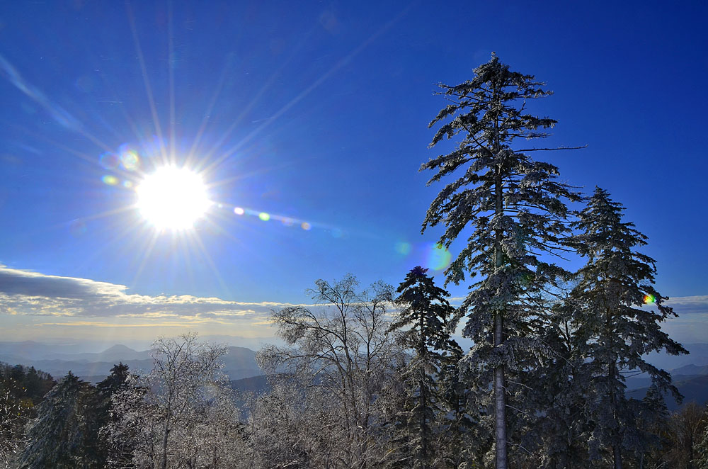 _DSC7589x.jpg