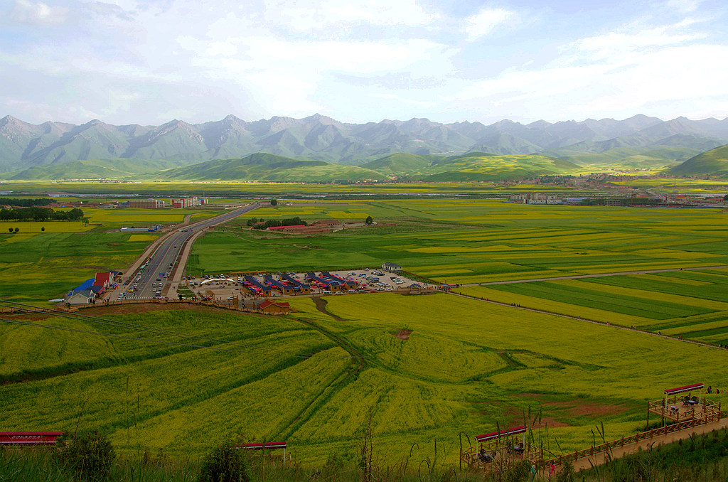 IMGP1148_副本.jpg