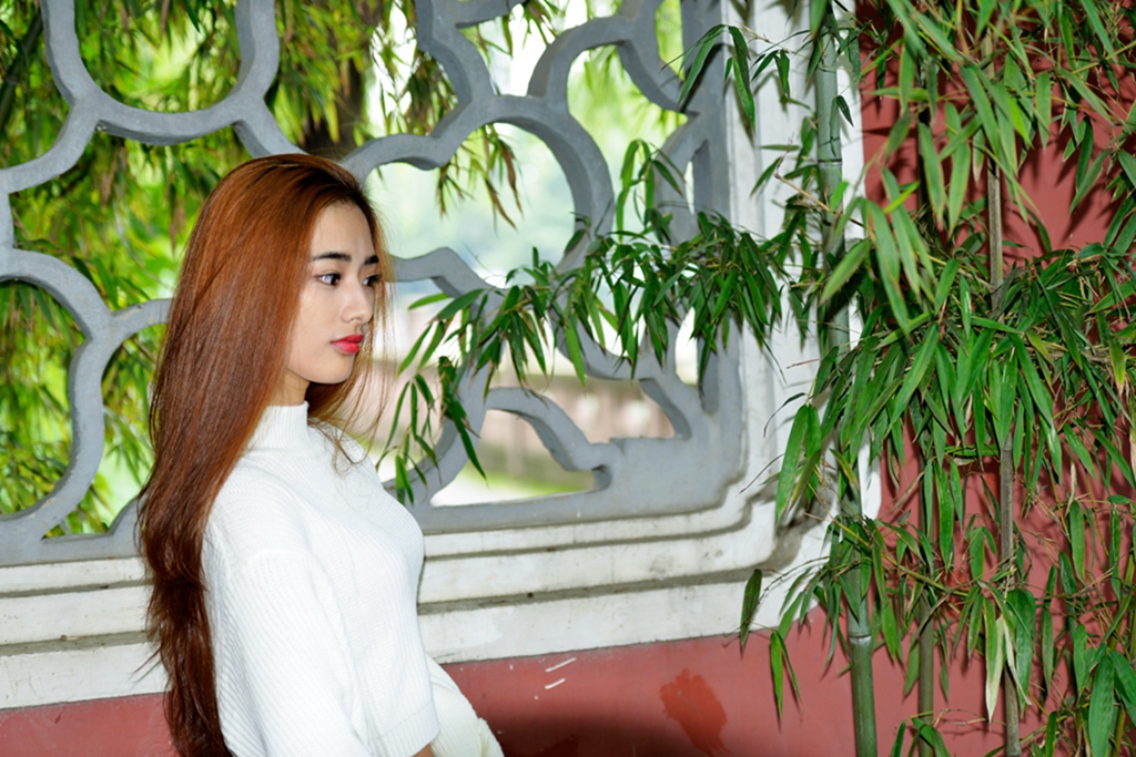 DSC_8995.JPG