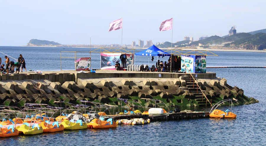 05.jpg