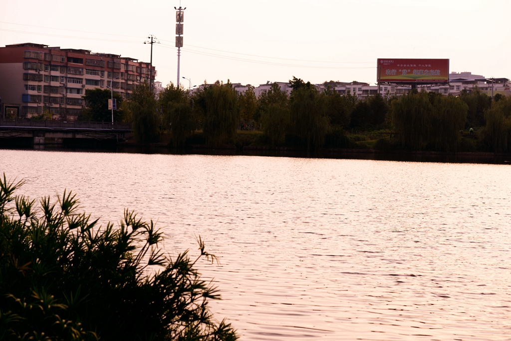 DSC_9339.JPG