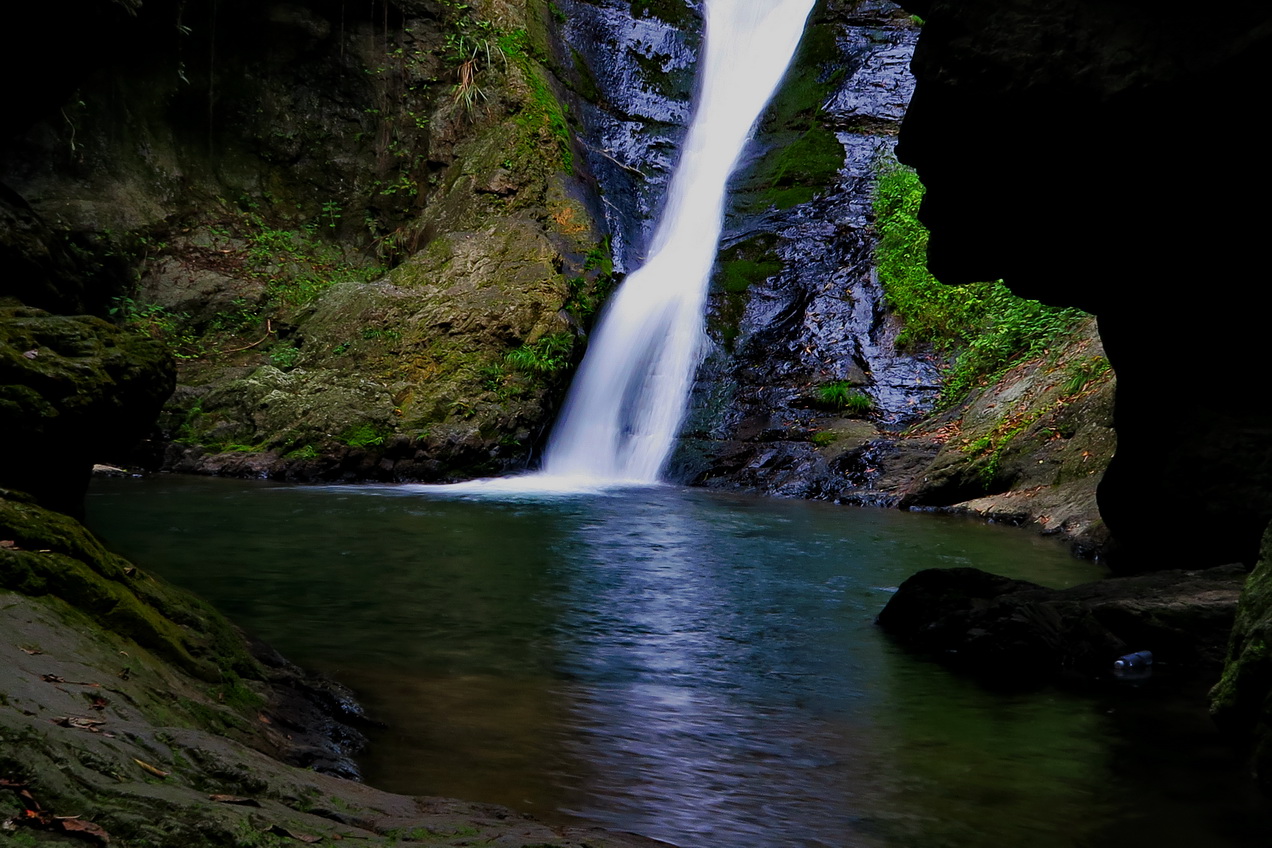 IMG_0110-1.jpg