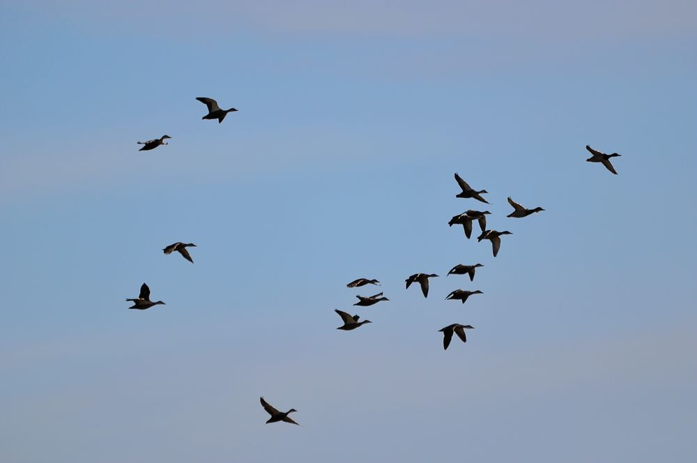 DSC_5171.JPG