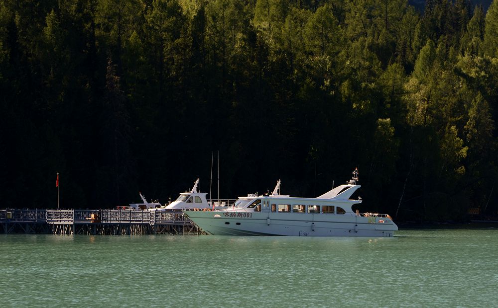 DSC_4566.JPG