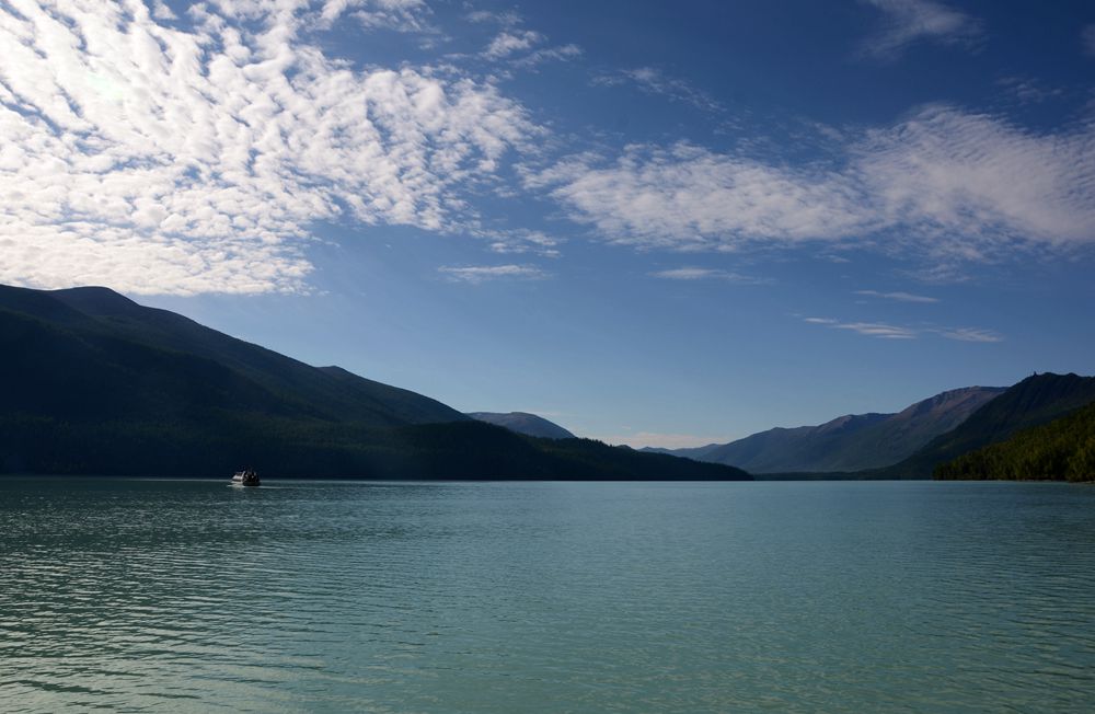 DSC_4973.JPG