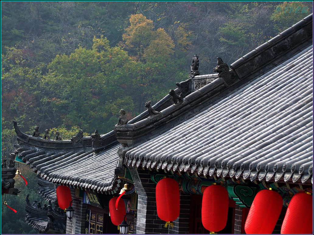 双灵寺的屋脊1.jpg