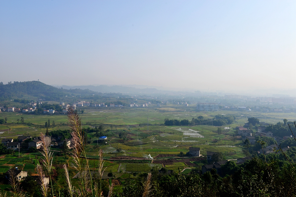 DSC_9400.JPG