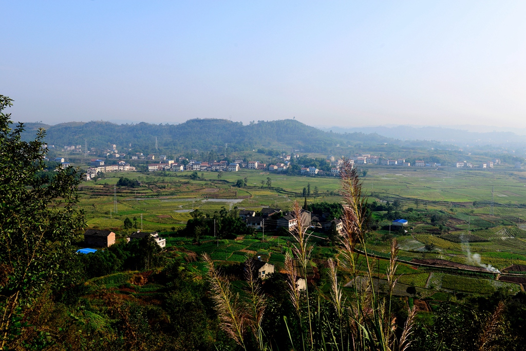 DSC_9401.JPG