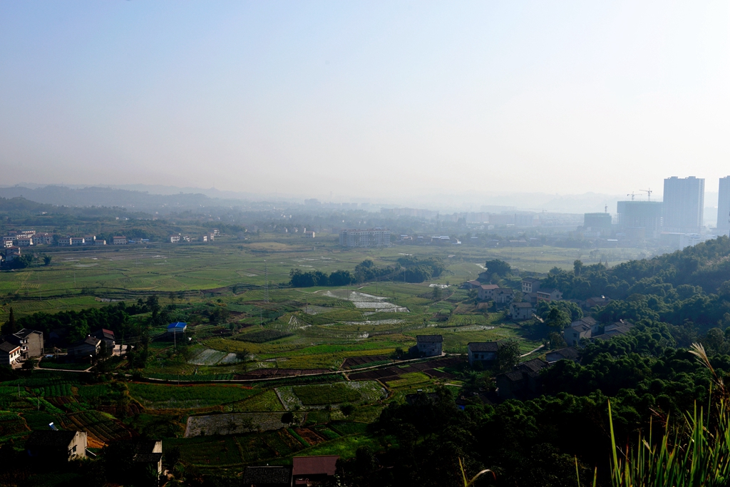 DSC_9402.JPG