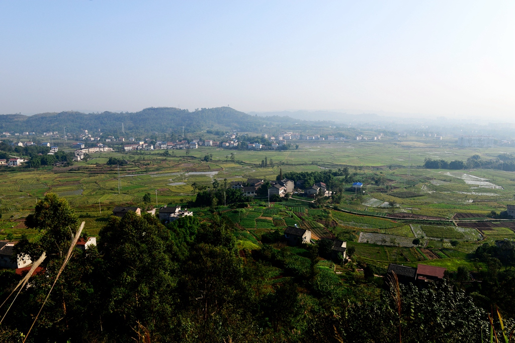 DSC_9403.JPG