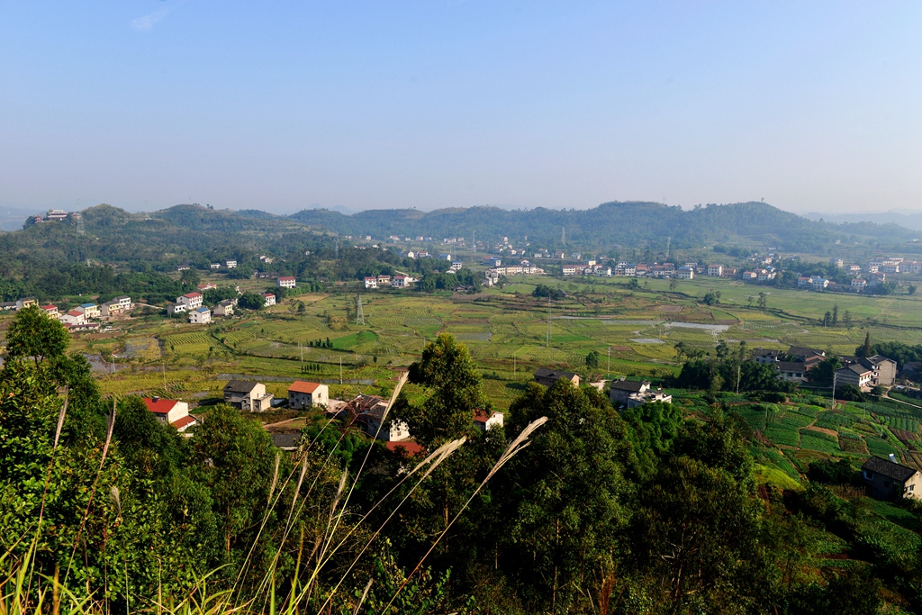 DSC_9404.JPG