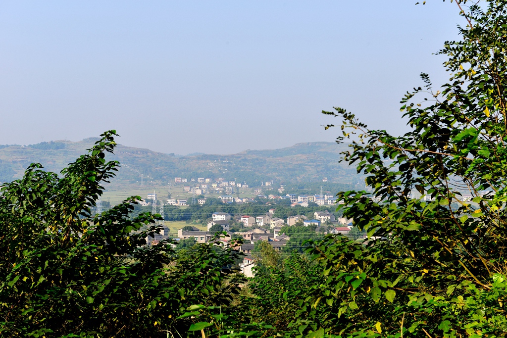 DSC_9406.JPG