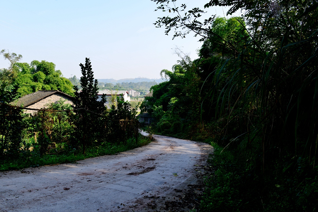 DSC_9412.JPG