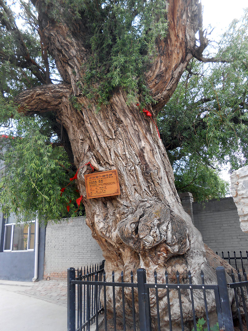 DSCN2515.JPG