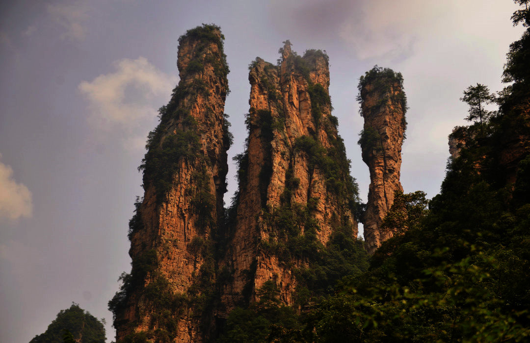13听遣DSC_8562.JPG